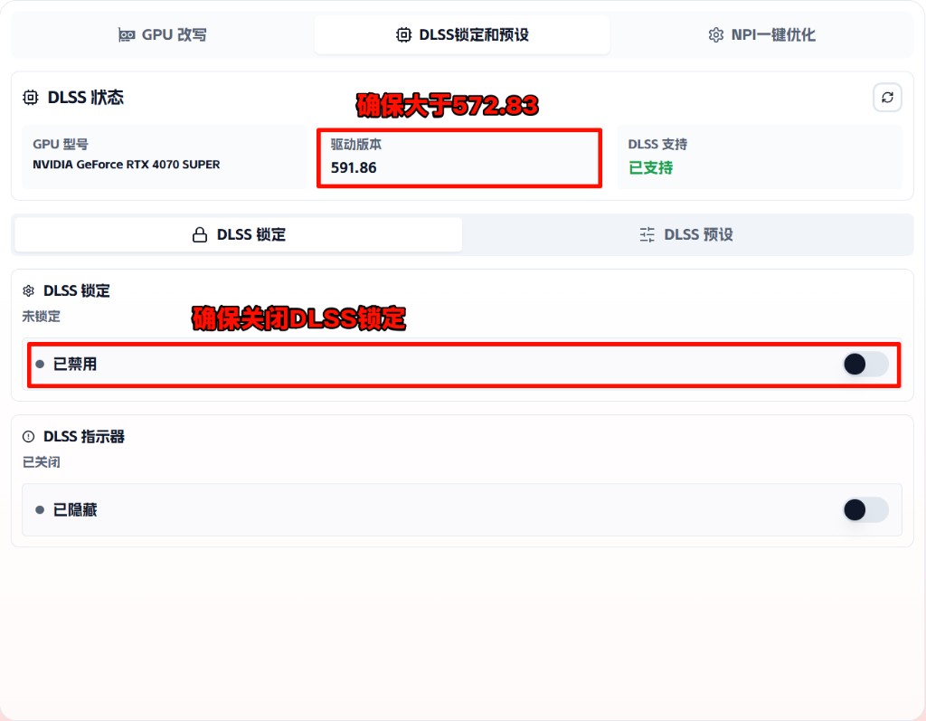 DLSS 模型生效检查示意图